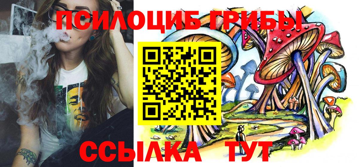 Псилоцибиновые грибы мицелий  что такое наркотик  Азнакаево  Вход с VPN 